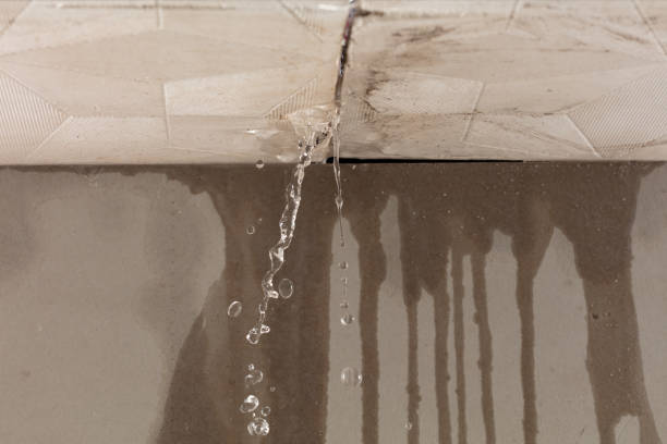 Professional Structural Drying technician working in Fackler, AL